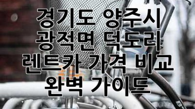 경기도 양주시 광적면 덕도리 렌트카 가격 비교 완벽 가이드